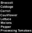 Product Navigation
